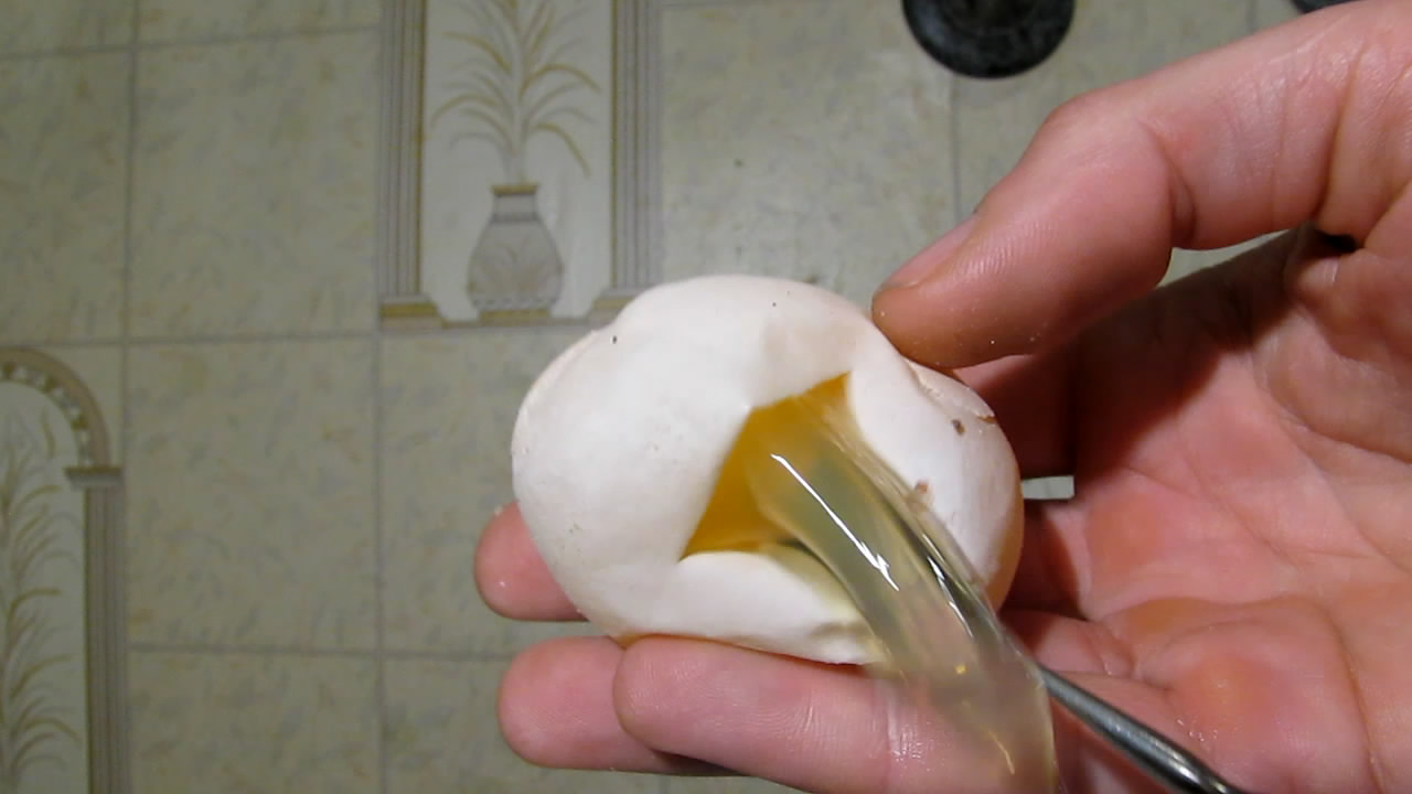 Куриное яйцо и лимонная кислота. Chicken egg and citric acid