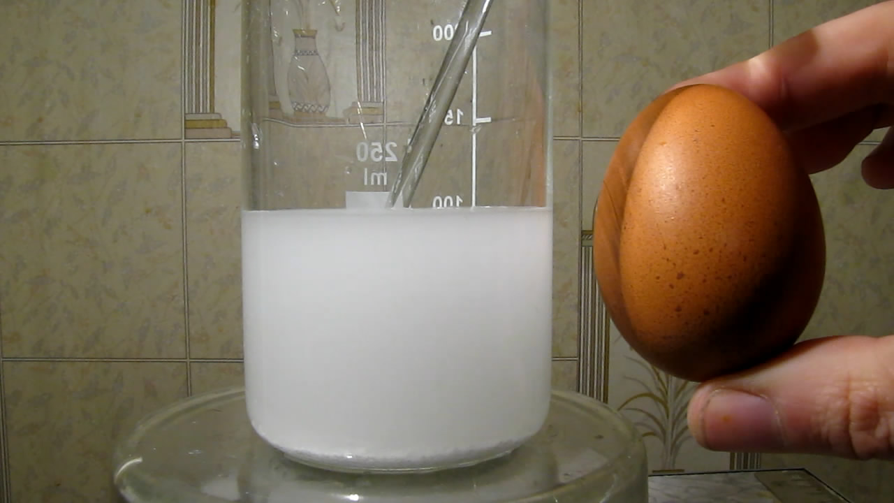     . Chicken egg and citric acid