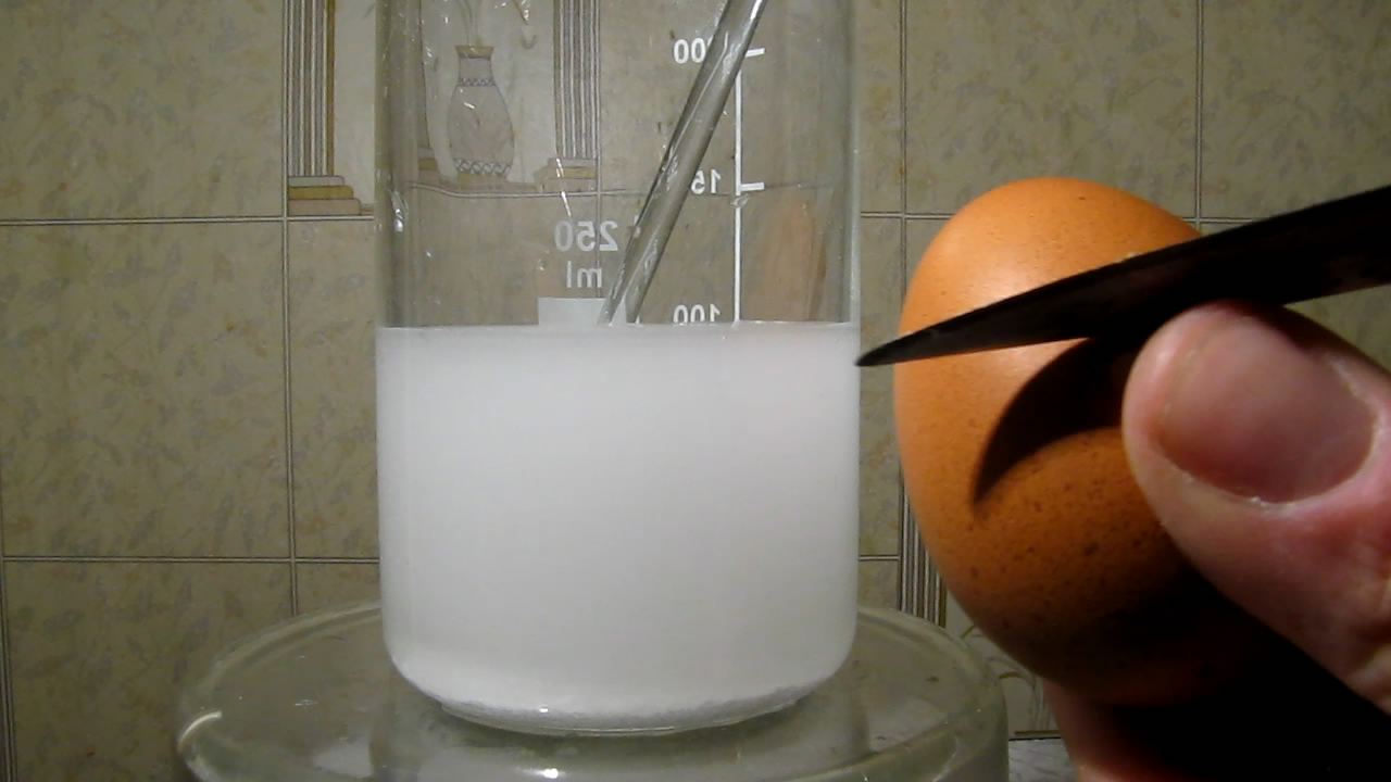 Куриное яйцо и лимонная кислота. Chicken egg and citric acid