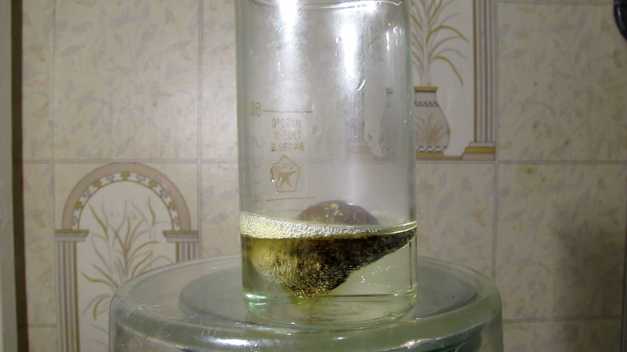 Раковины моллюсков и концентрированная соляная кислота. Mollusk shells and concentrated hydrochloric acid