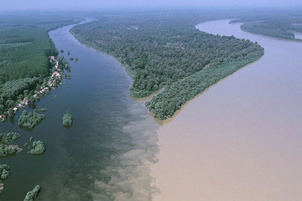      (, ). Confluence of Drava and Danube rivers (Osijek, Croatia)