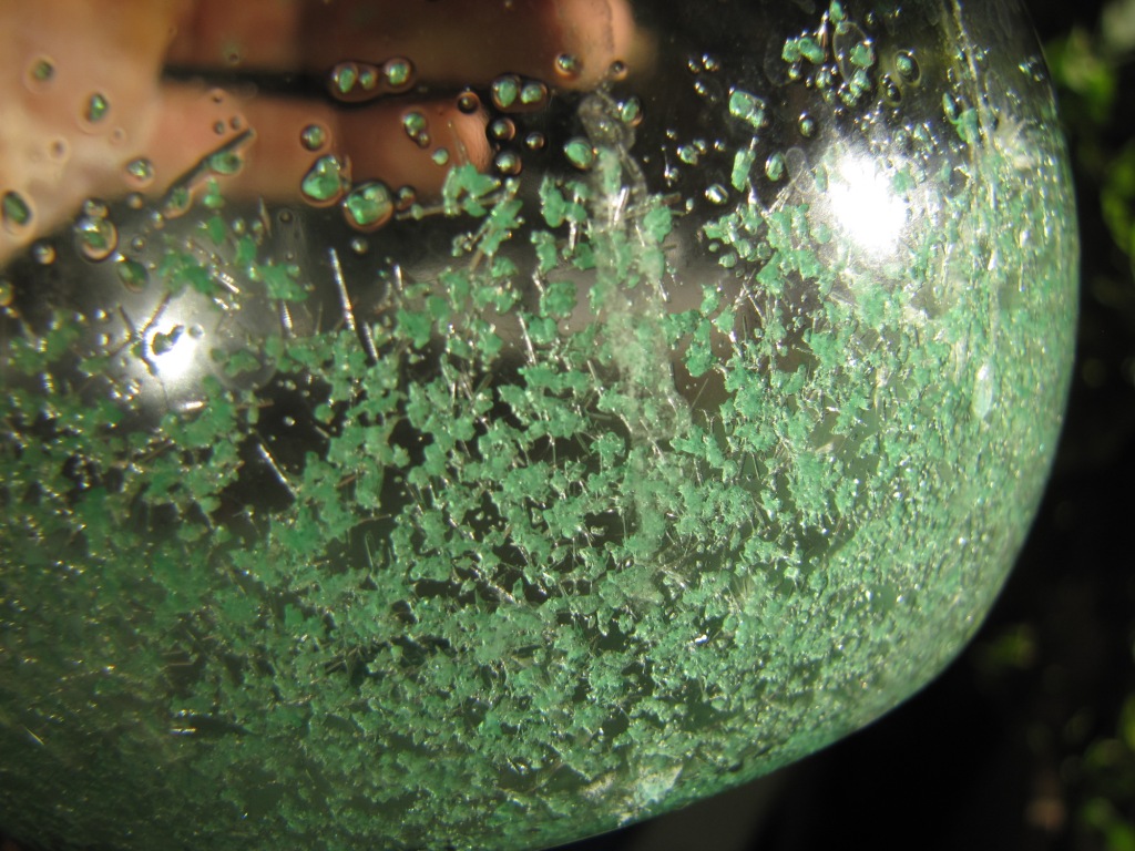  :   . Chemical photos: reagents and materials
