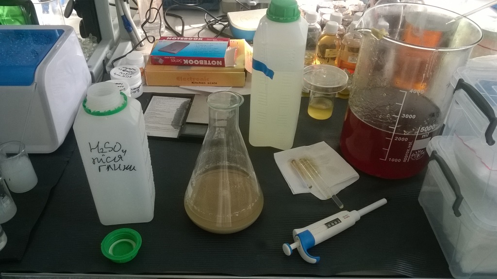   . Acid activation of clay