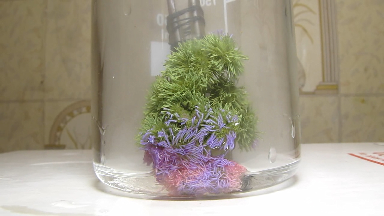 Ageratum Houstonianum flower, ammonia, acetic acid and hydrochloric acid