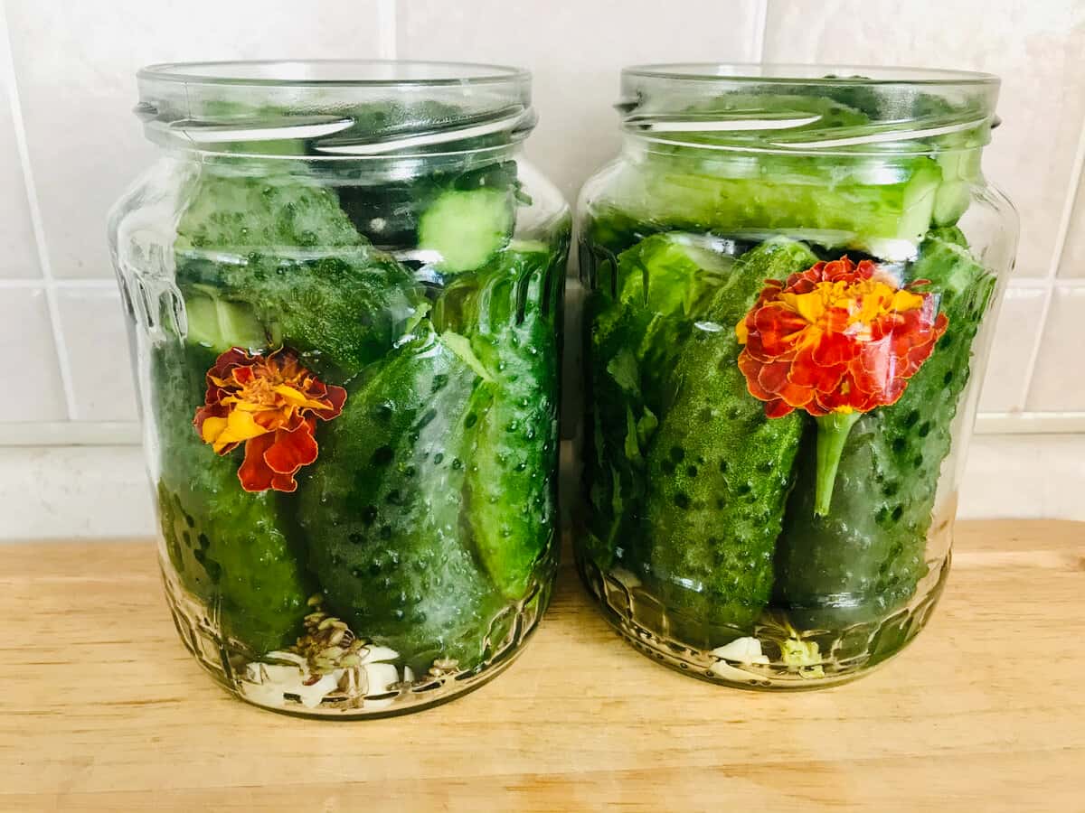 Pickled cucumbers with tagetes flowers