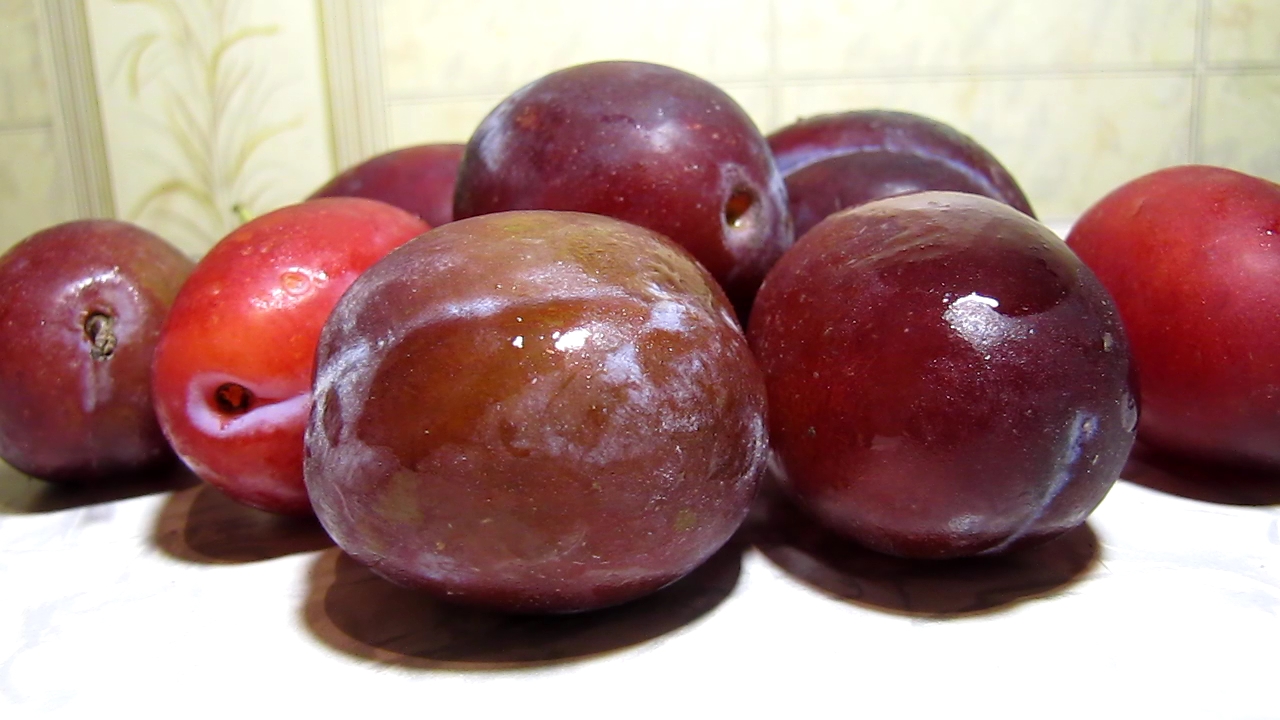 Red Prunus domestica (Plum), pink Grape, ammonia and nitric acid