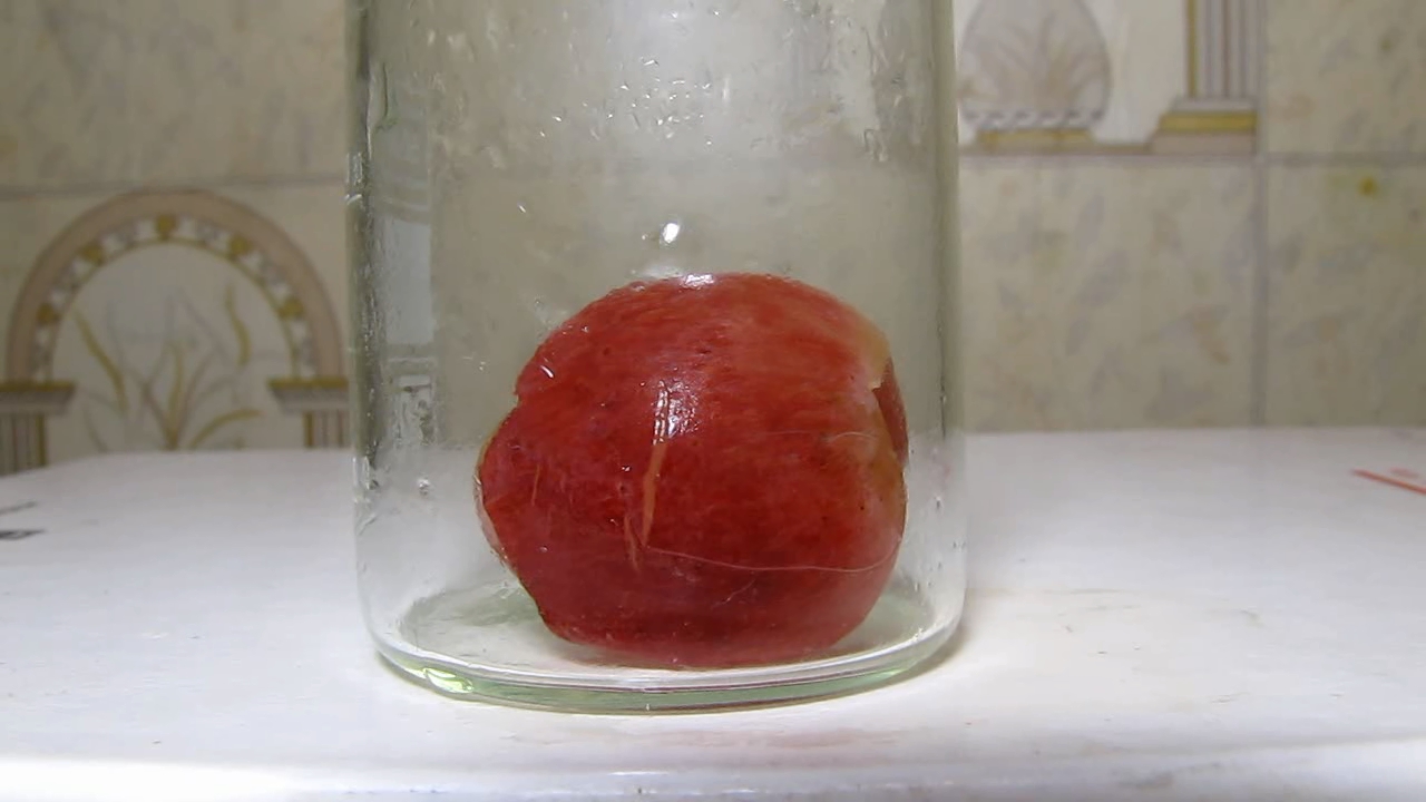 Red Prunus domestica (Plum), pink Grape, ammonia and nitric acid