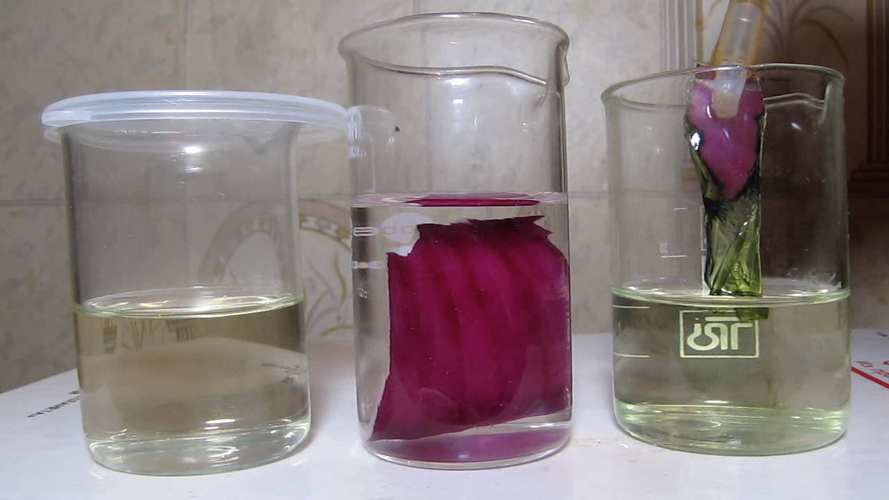 Red onion, ammonia and nitric acid