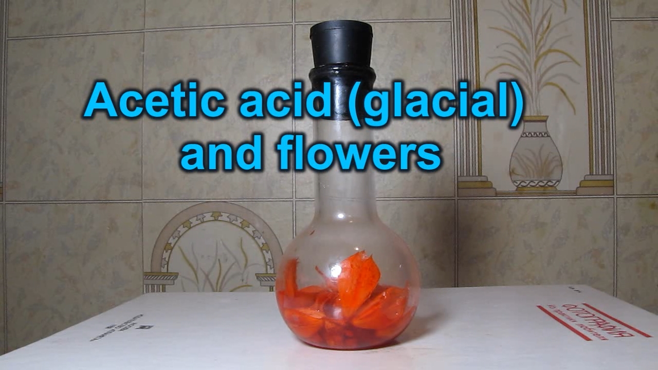 Salvia Splendens flowers, acetic acid, ammonia and nitric acid