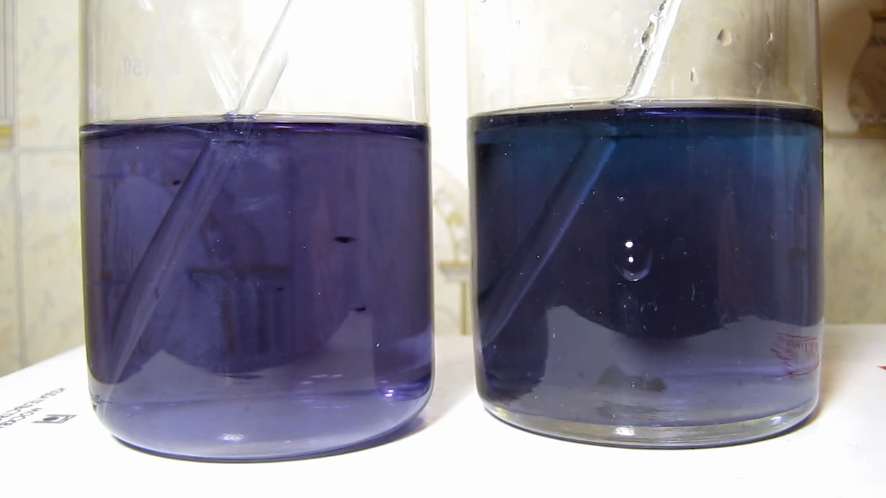 Sambucus ebulus (Danewort), tap water, nitric acid, potassium hydroxide and ammonia