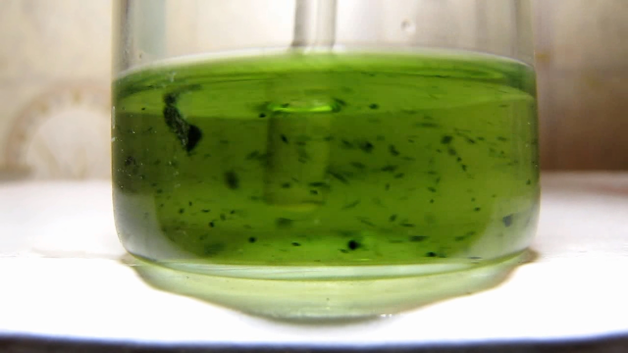 Sambucus ebulus (Danewort), potassium hydroxide and hydrogen peroxide