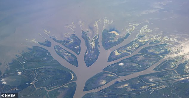 Mississippi river delta