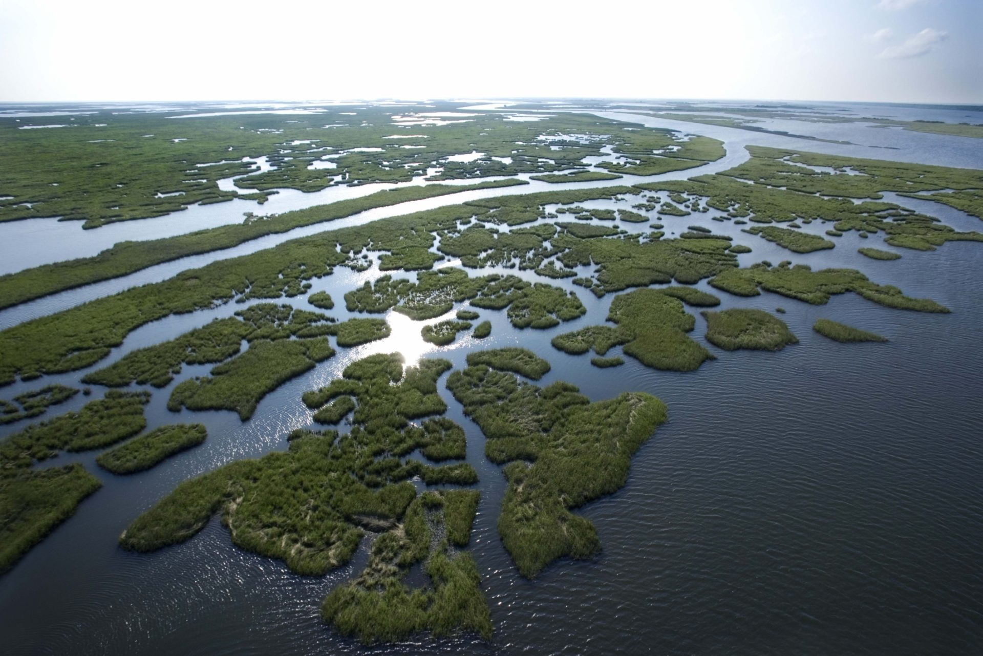 Mississippi river delta