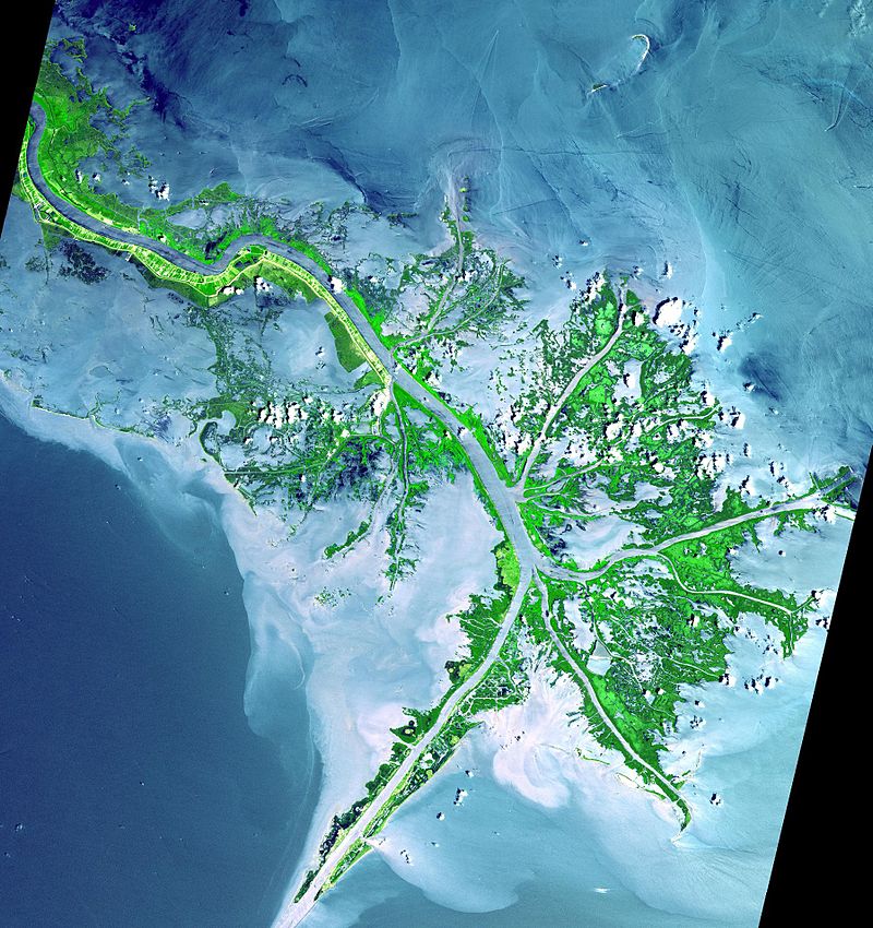Mississippi river delta from space