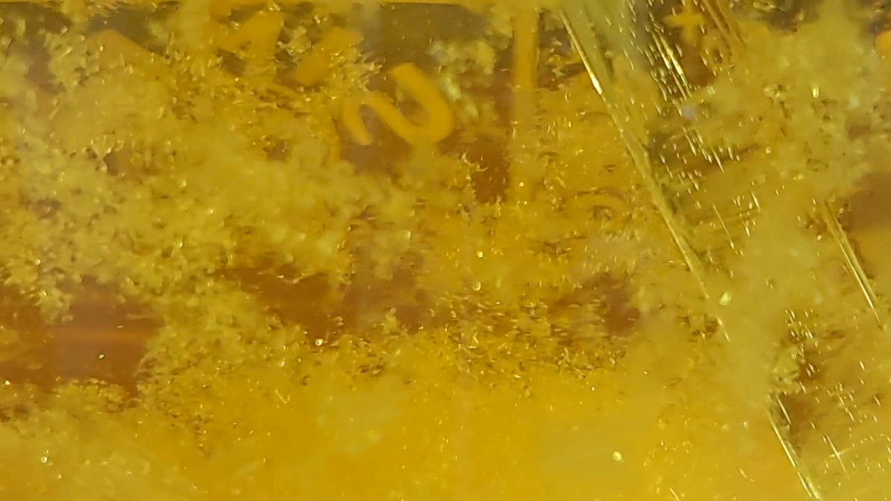 Nitration of Phenol: Synthesis of Picric Acid