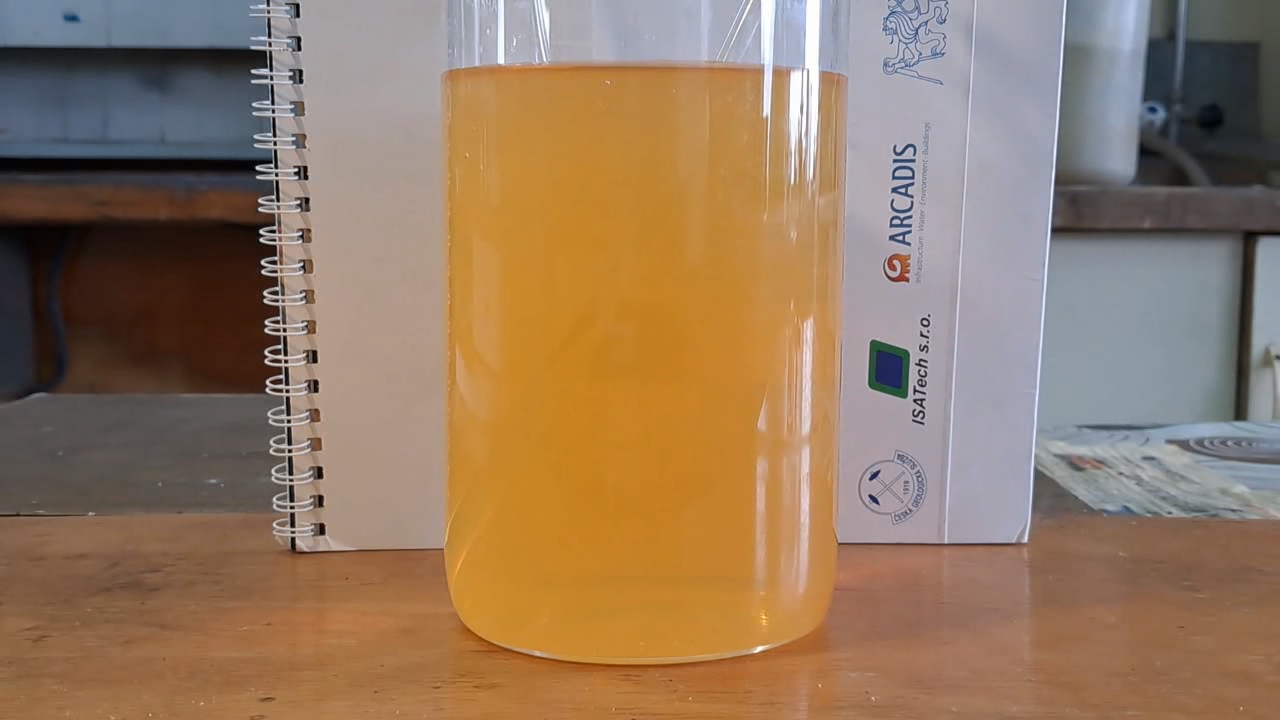 Phenol, Iron(III) Chloride, and Tap Water