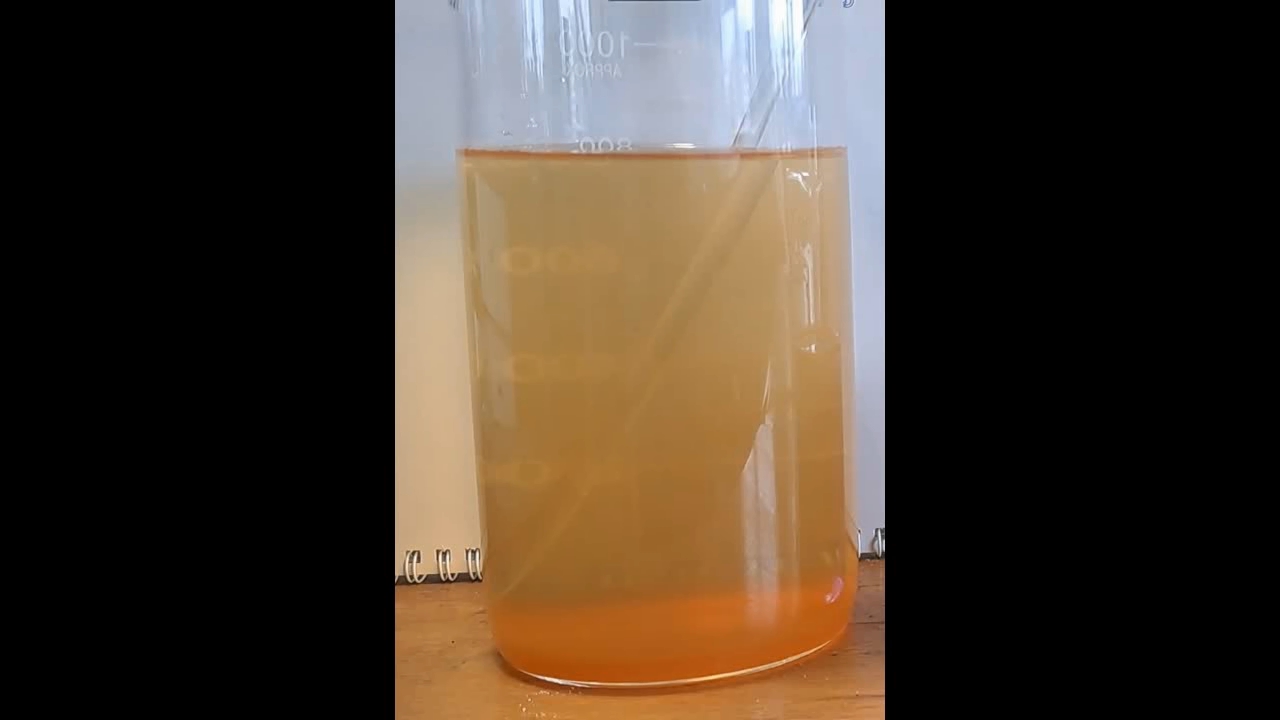 Phenol, Iron(III) Chloride, and Tap Water