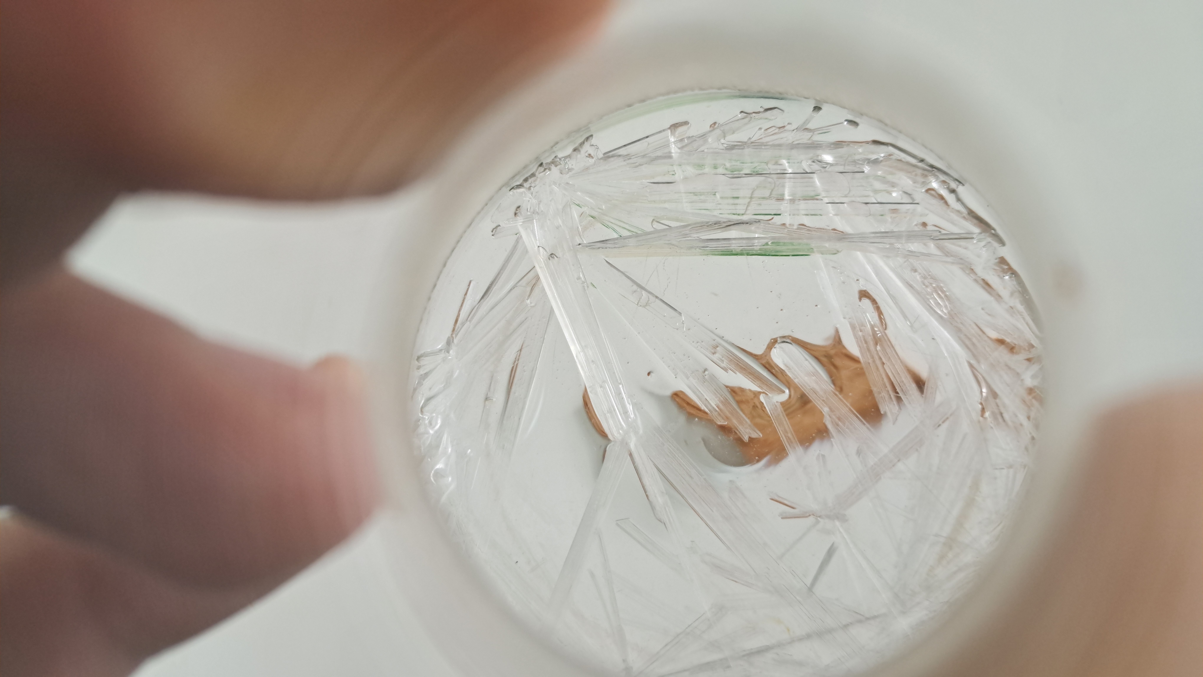 Does Calcium Carbonate React with Sodium Sulfate?