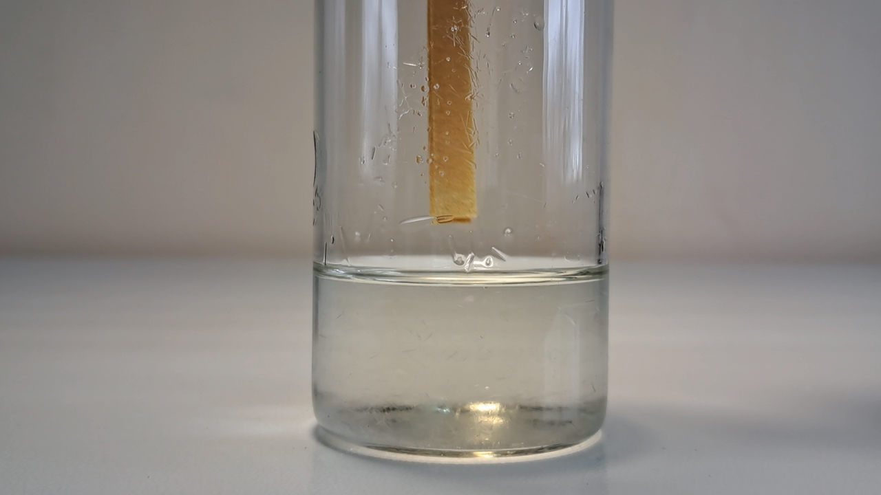 Does Calcium Carbonate React with Sodium Sulfate?