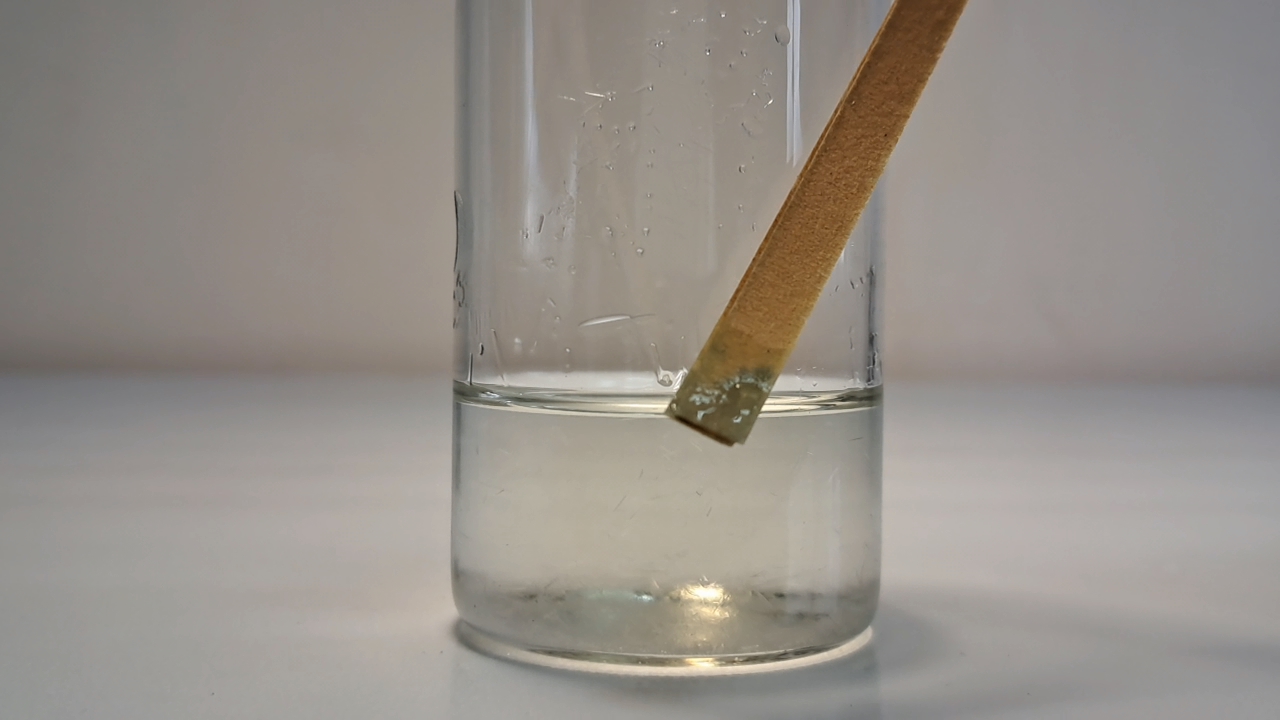 Does Calcium Carbonate React with Sodium Sulfate?