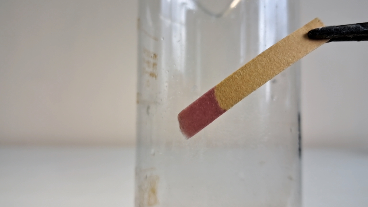 Does Calcium Carbonate React with Sodium Sulfate?