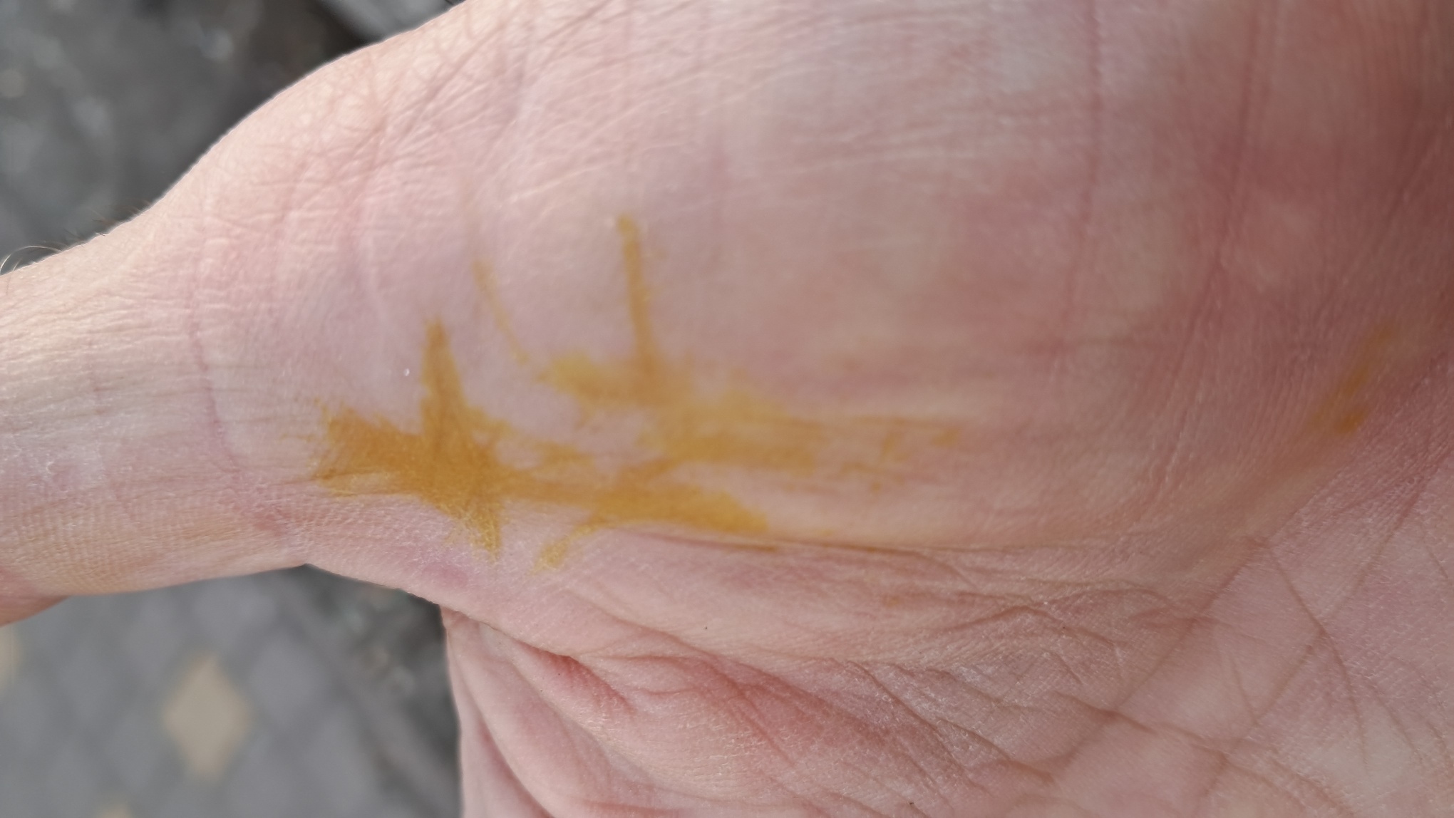 Does Calcium Carbonate React with Sodium Sulfate?