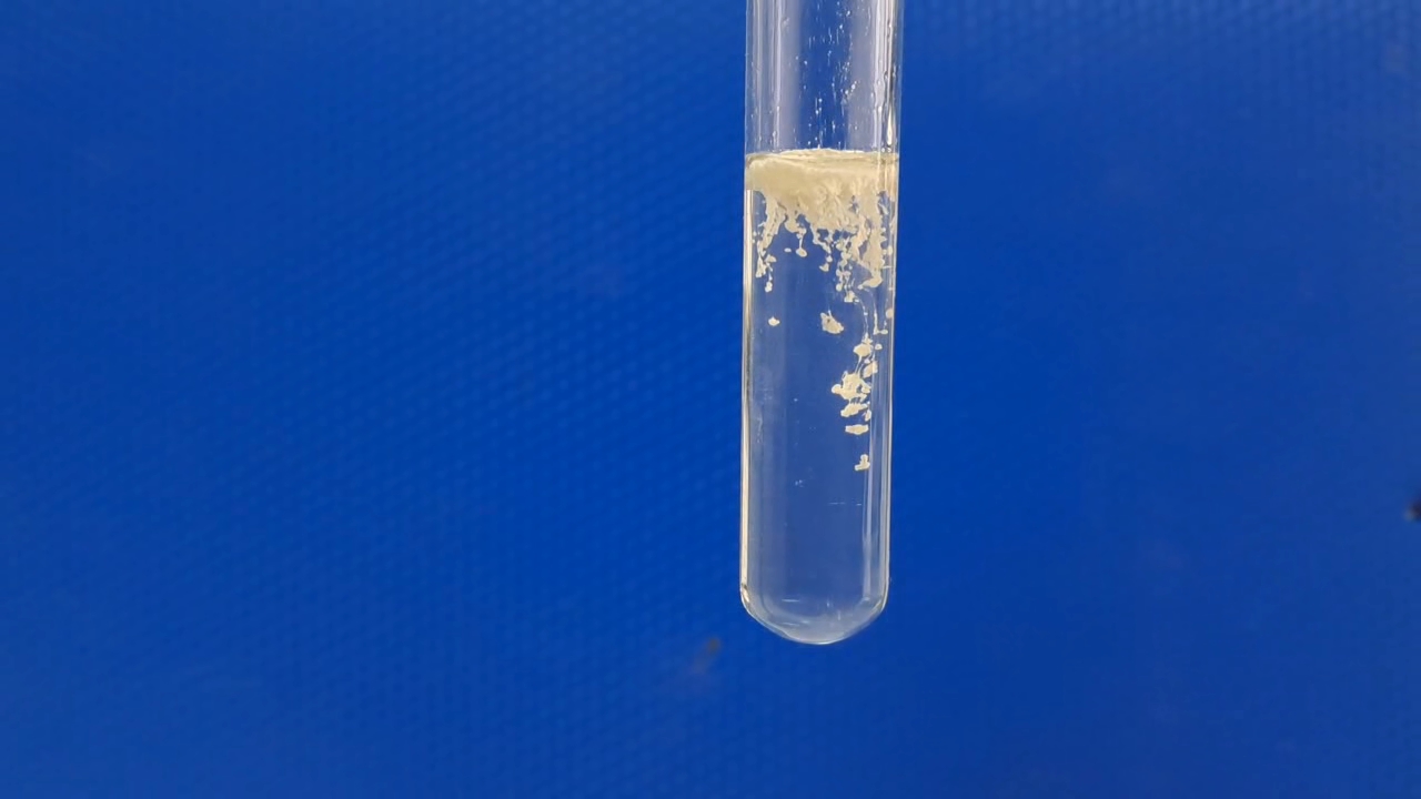 Dissolution of Barium Sulfate in Concentrated Sulfuric Acid