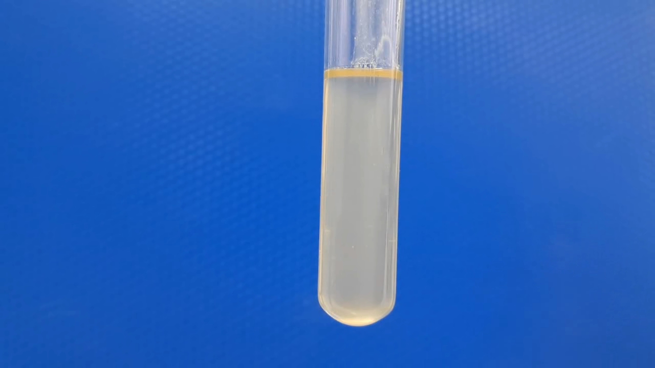 Dissolution of Barium Sulfate in Concentrated Sulfuric Acid