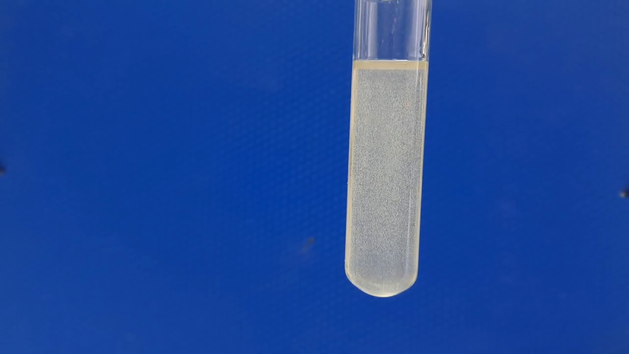 Dissolution of Barium Sulfate in Concentrated Sulfuric Acid