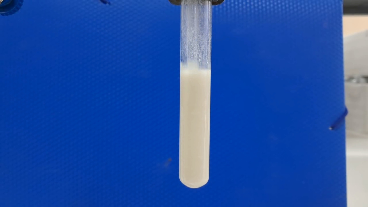 Dissolution of Barium Sulfate in Concentrated Sulfuric Acid