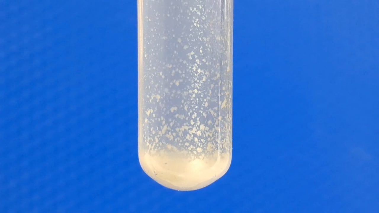 Precipitation of Barium Sulfate from Solution by Adding Water