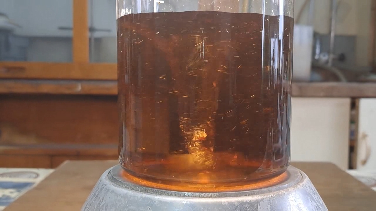 Reaction of Thiosulfate with Iron(III): Copper(II) as Catalyst