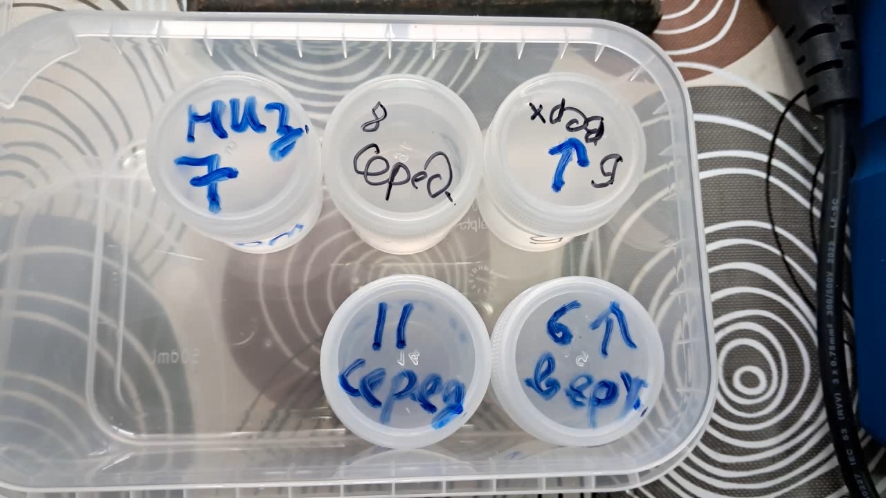 Distillation Tritiated Water from Calcium Chloride