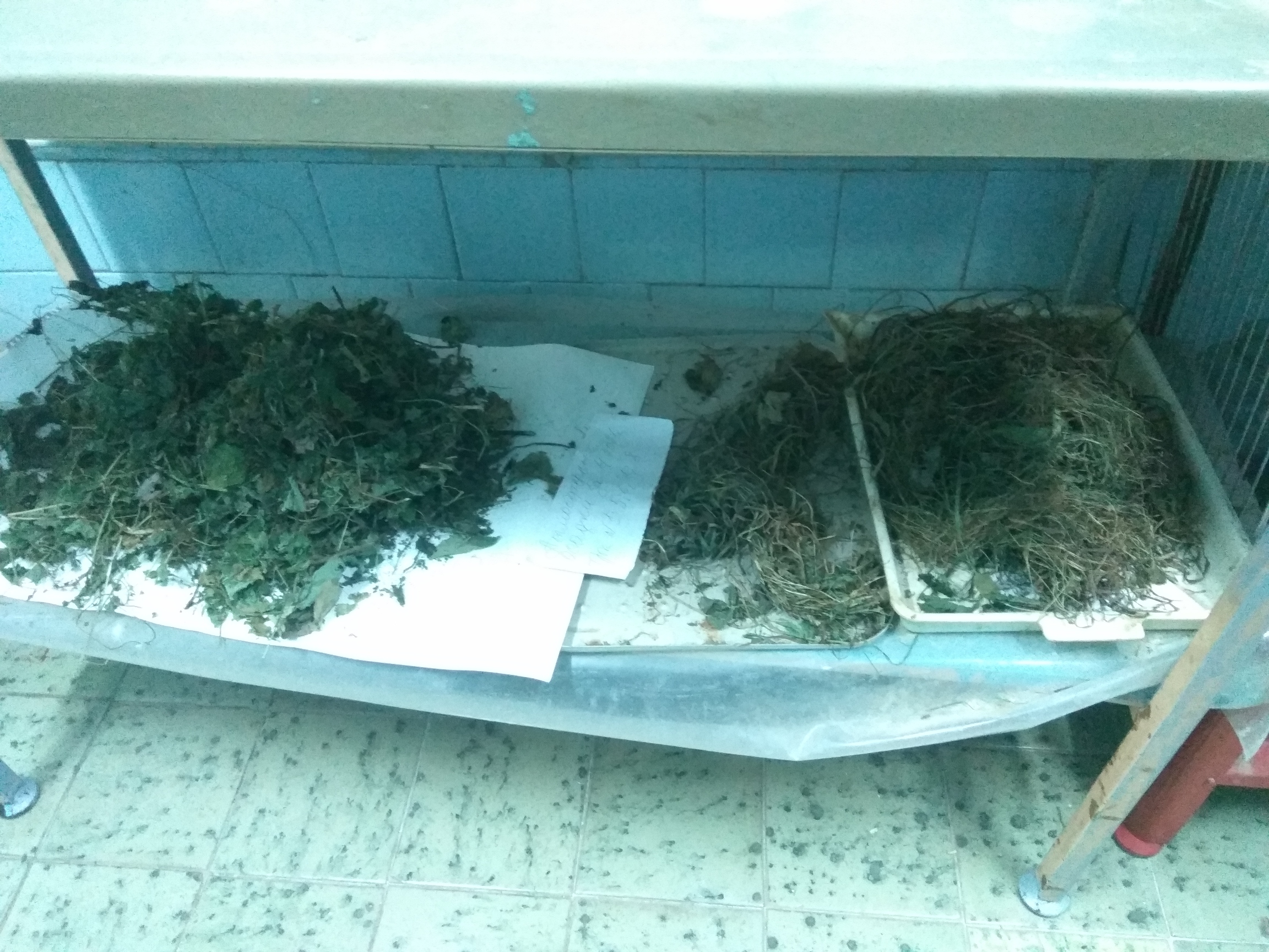 Work with radioactive waste