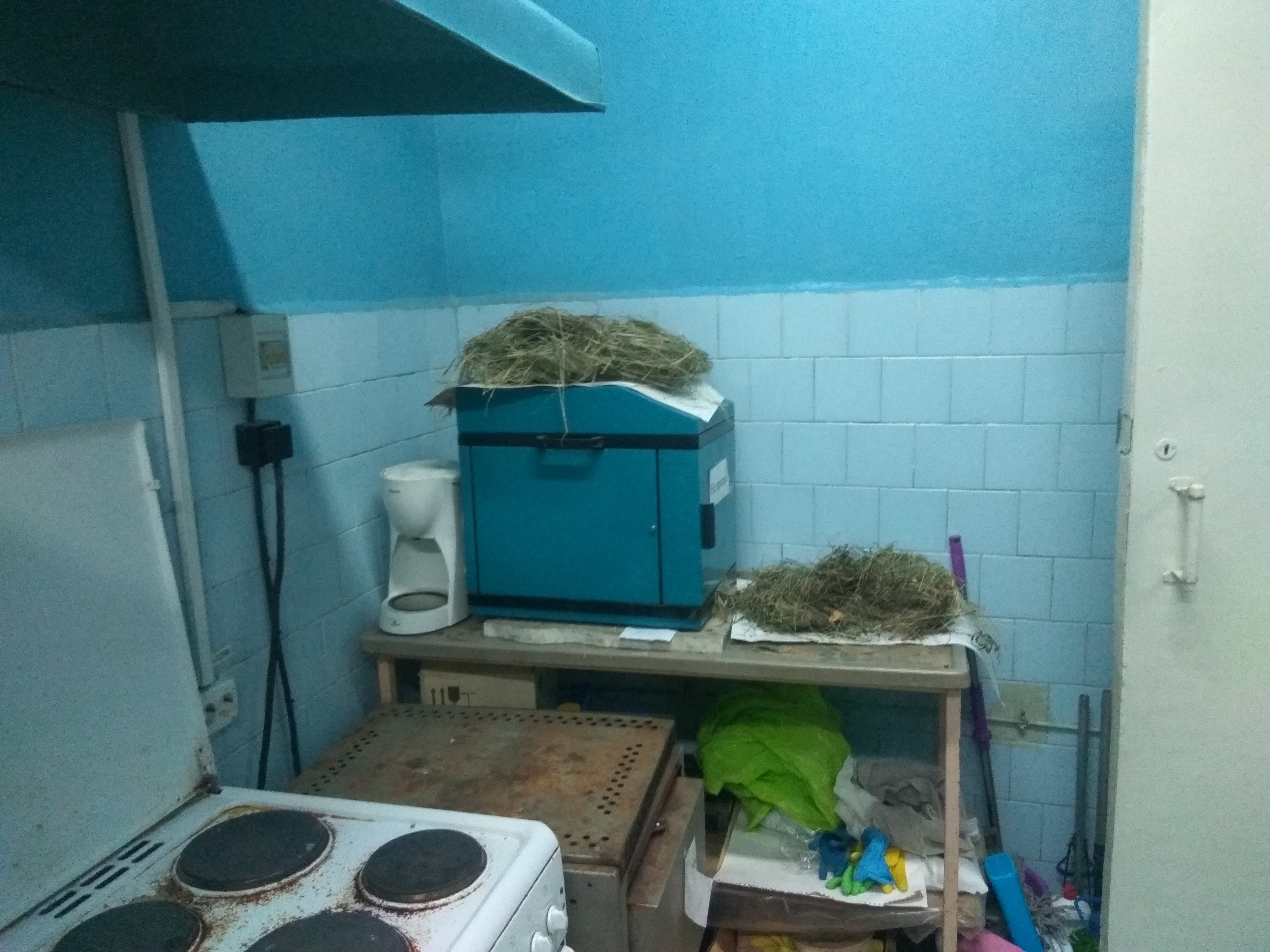 Work with radioactive waste