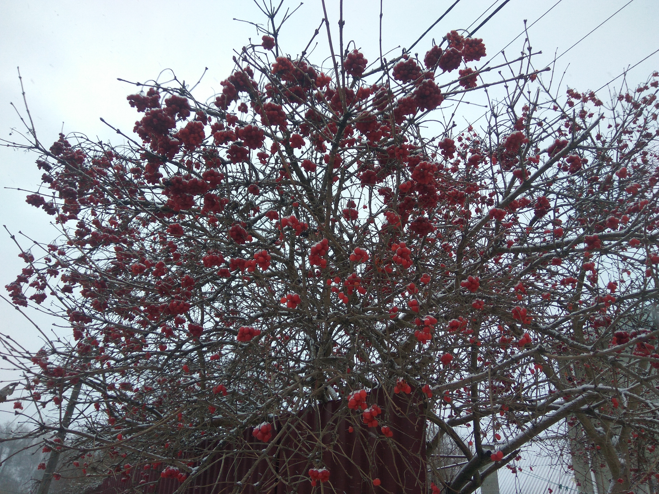 Work with radioactive waste