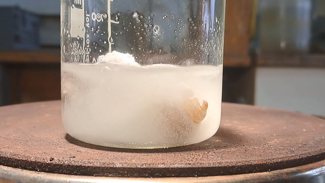 Disodium Salt of EDTA and Mollusk Shells