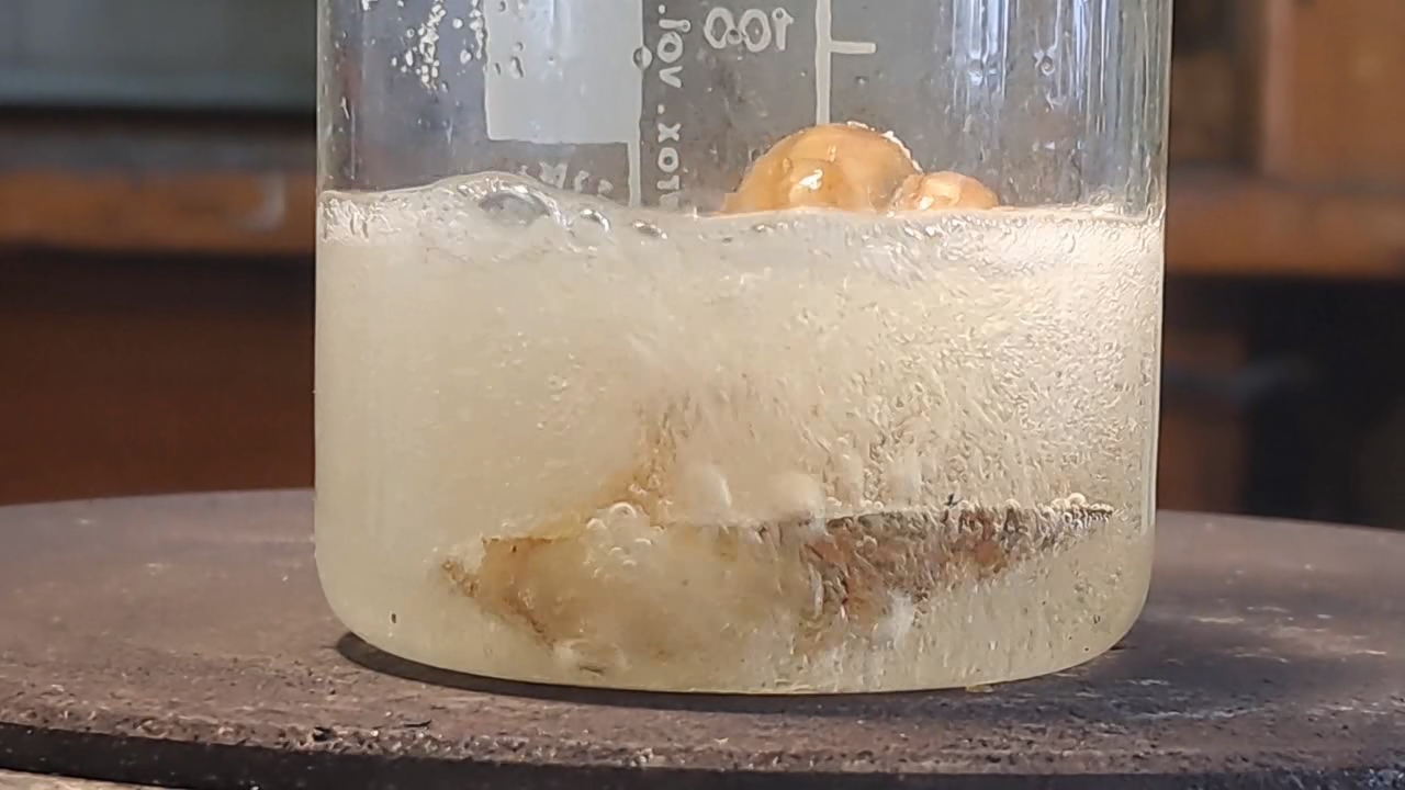 Disodium Salt of EDTA and Mollusk Shells