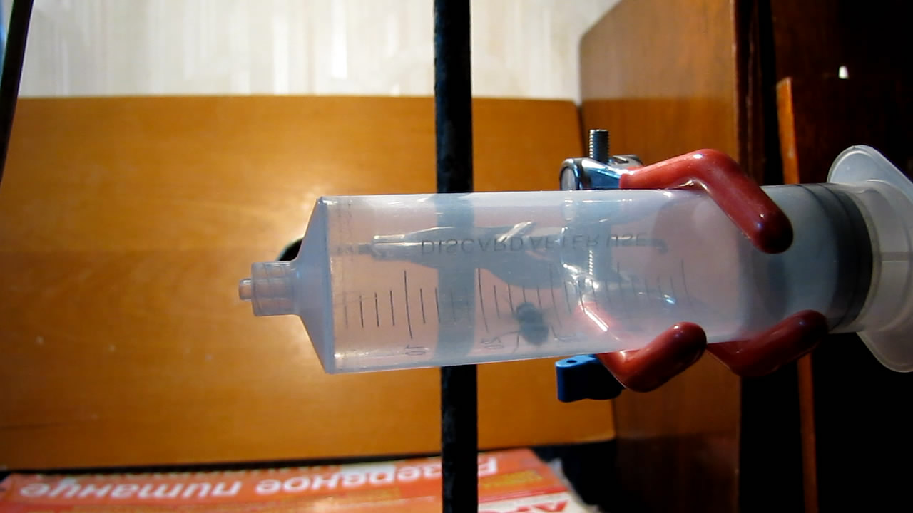   . Fly (insect) in vacuum