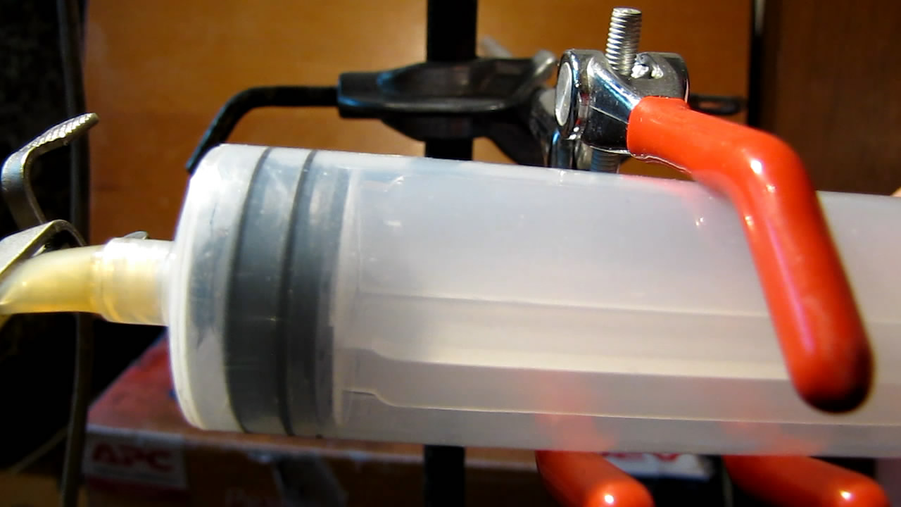   . Fly (insect) in vacuum