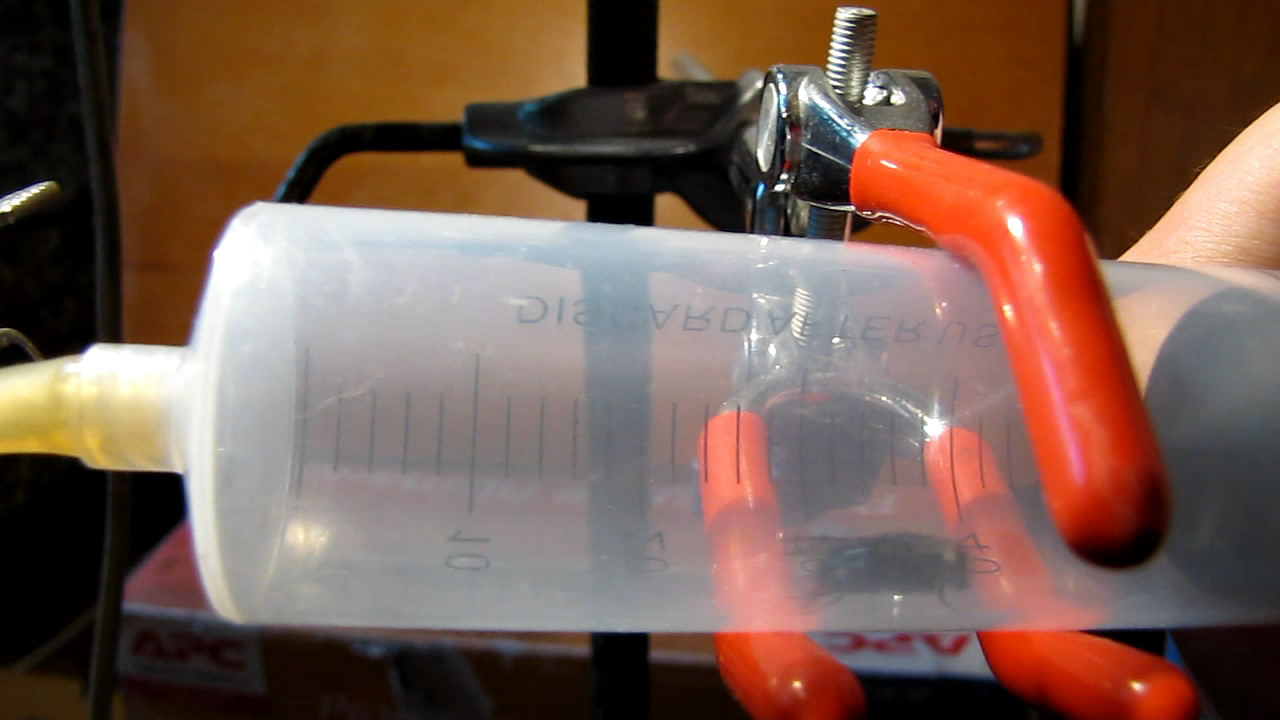   . Fly (insect) in vacuum