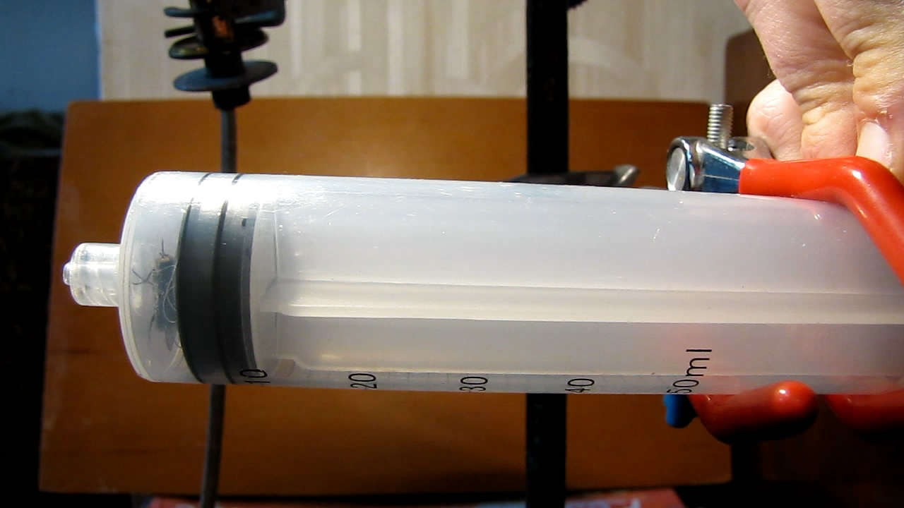   . Fly (insect) in vacuum
