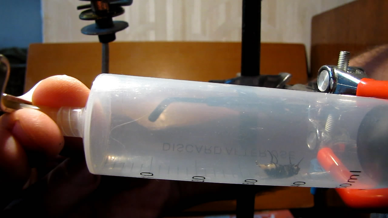   . Fly (insect) in vacuum