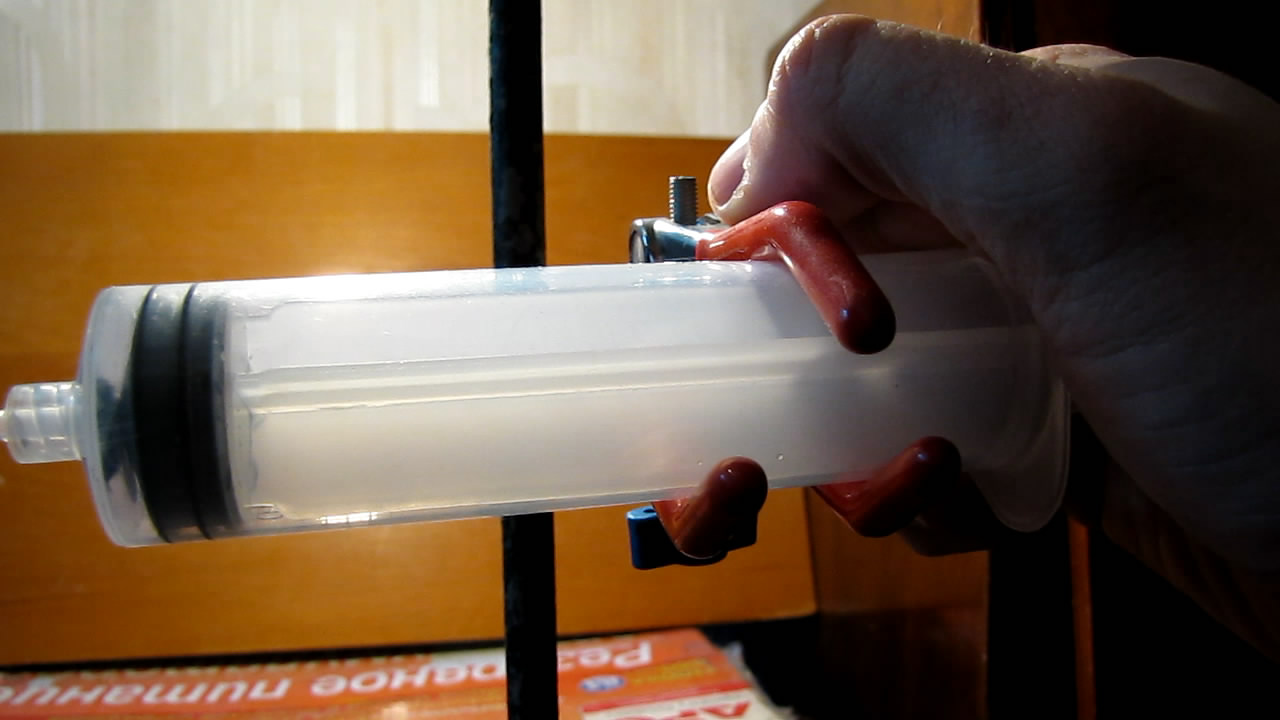   . Fly (insect) in vacuum