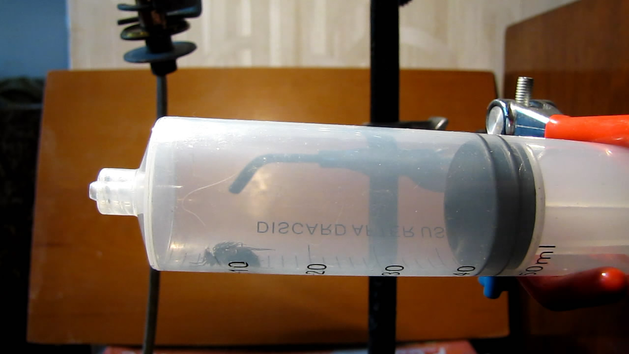   . Fly (insect) in vacuum