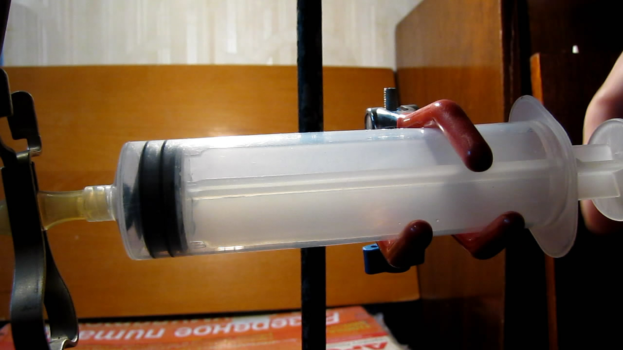   . Fly (insect) in vacuum