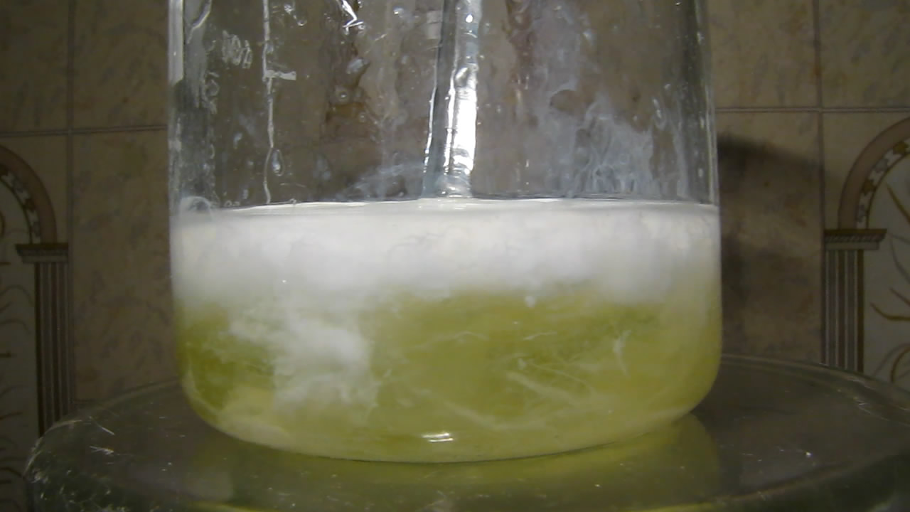     . Denaturation of protein by ethanol (egg white protein)