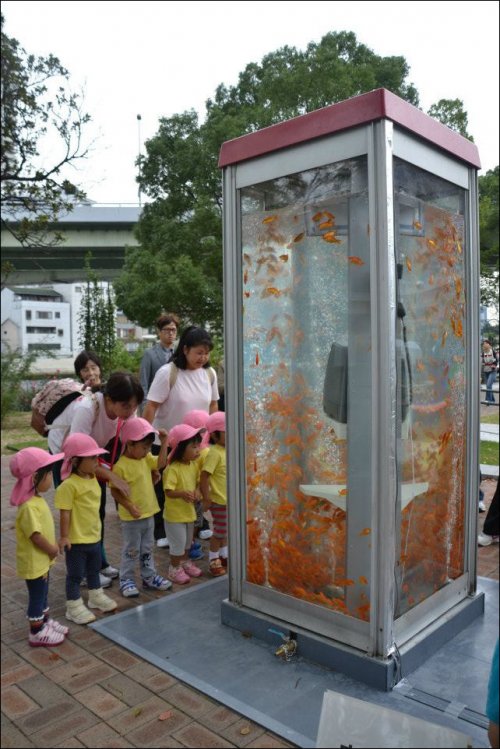      (). Goldfish phone boot aquariums (phone booths turned into aquariums with goldfish)