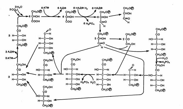 ... ! Chemists joke!