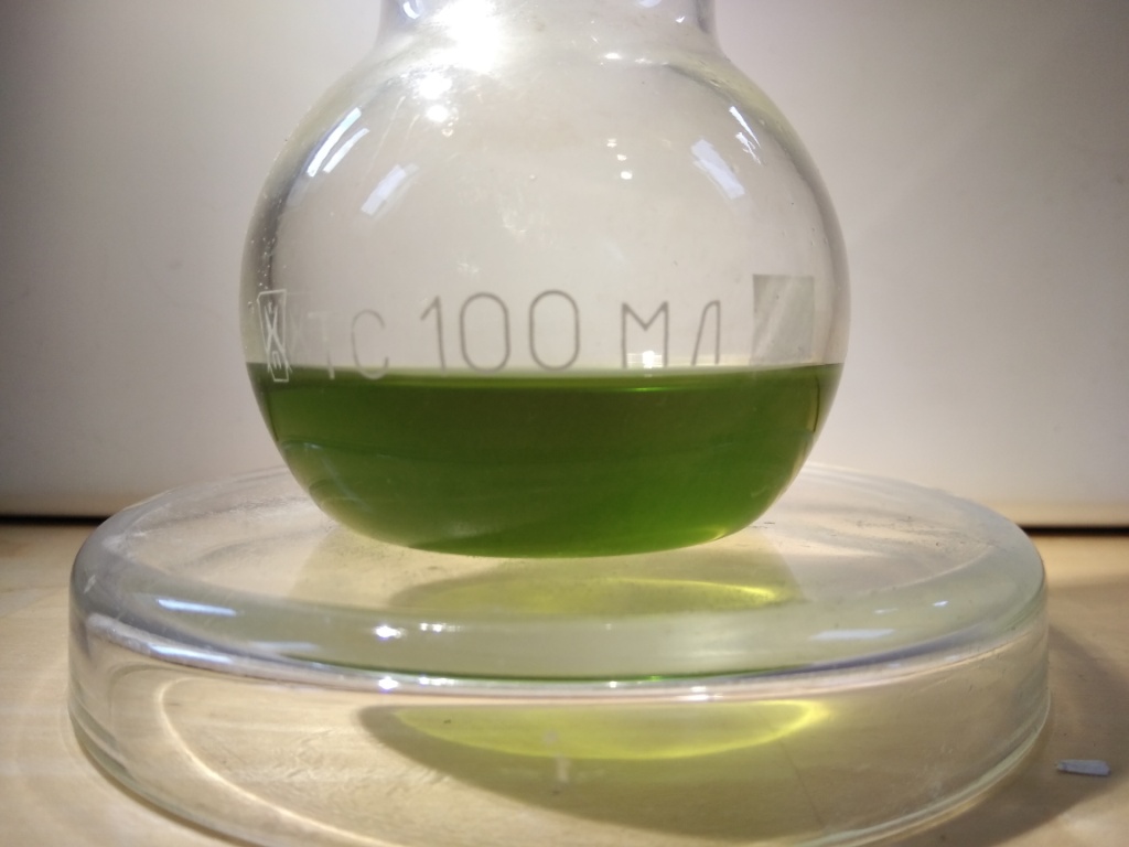   .      . Extraction of chlorophyll with isopropanol. Luminescence of chlorophyll extract under ultraviolet light